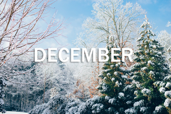 December is unofficially the shortest month of the year - Travel Uni Blog